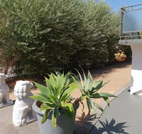 Mt.Lawley superb 2 BR Apartment Ideally located 5 - Rental Cars