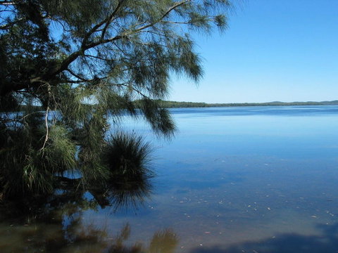 Myall River Magic - Rental Cars 1