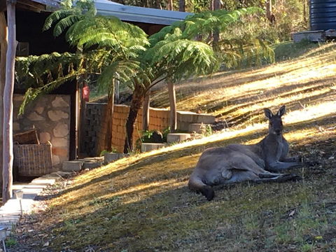 Kangaroo Valley Cottage - Rental Cars 3