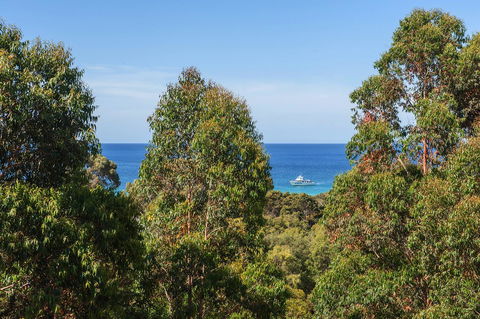 Gypsy Rise - Rental Cars 14