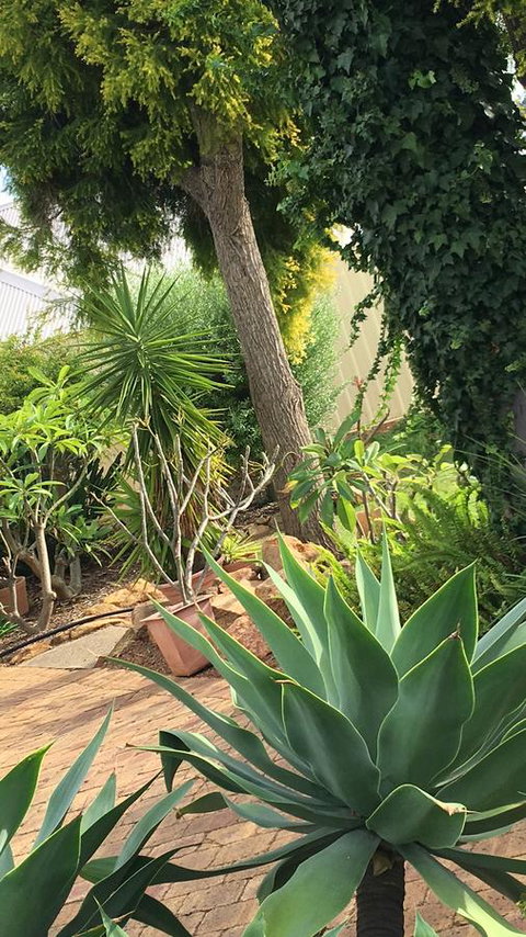 Armadale Cottage Bed & Breakfast - Rental Cars 1