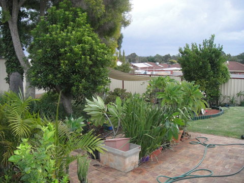 Armadale Cottage Bed & Breakfast - Rental Cars 39