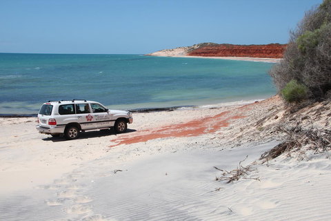 Wildsights Villas - Rental Cars 12