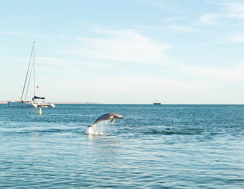 Wildsights Villas - Rental Cars 11