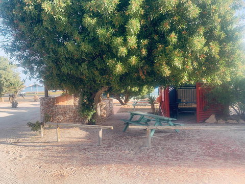 Shark Bay Cottages - Rental Cars 35