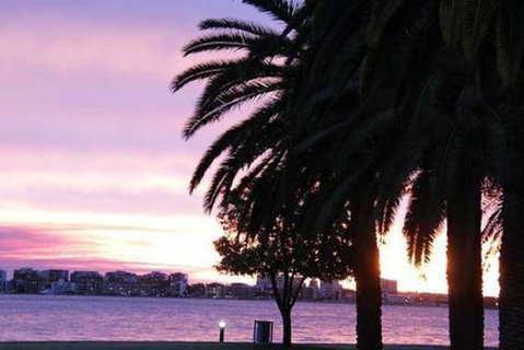 405 Perth City Escape - Rental Cars 19