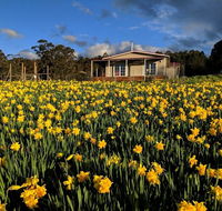 Mountain Blue Guest House - Rental Cars