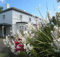 The Grove Cottages - Rental Cars