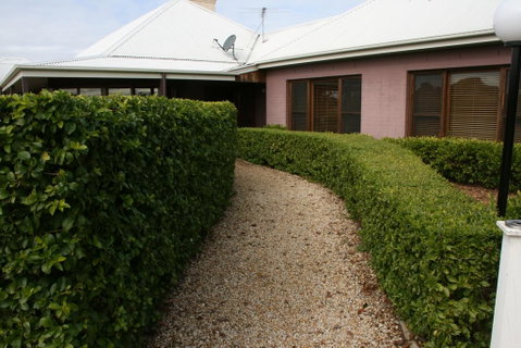 Nirvana Vista Estate - Rental Cars 3