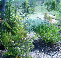 Old Miners' Cottages Bed and Breakfast - Rental Cars