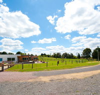 Omaroo - Rental Cars