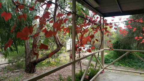 Padthaway Caravan Park - Rental Cars 1