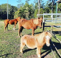 Paskins Farm - Rental Cars