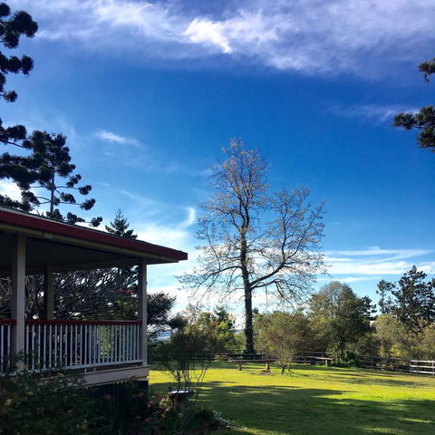 Pechey Homestead - Rental Cars 3