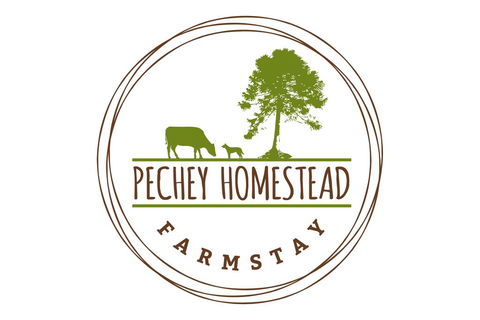 Pechey Homestead - Rental Cars 1