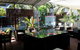 Peninsula Nelson Bay Hotel And Serviced Apartments - thumb 2