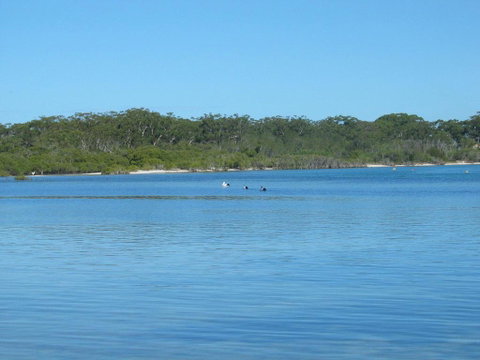 Pet Friendly - Exceptional Beachside Location - Rental Cars 3