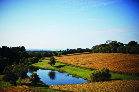 Port Phillip Estate - Rental Cars 2
