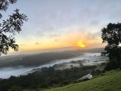 Scandinavian Cabin - Maleny - One Bedroom - Rental Cars 2
