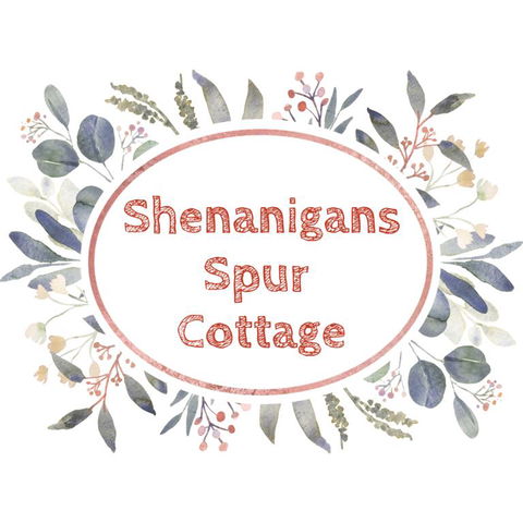 Shenanigans Spur Cottage - Rental Cars 3