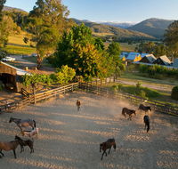Spring Spur - Rental Cars