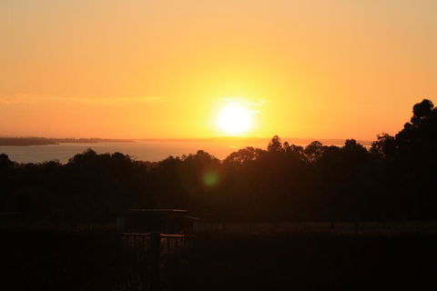 Studio 165 Hidden Gem On 50 Acres With Bay Views - Rental Cars 1