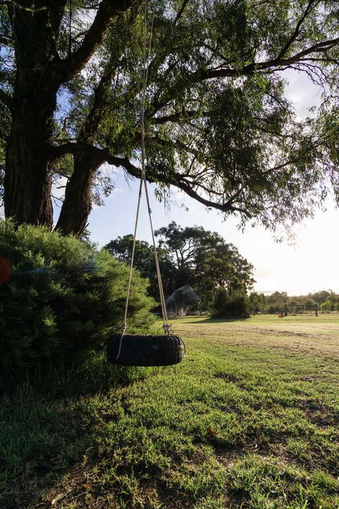 Studio 165 Hidden Gem On 50 Acres With Bay Views - Rental Cars 3