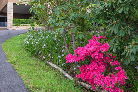 Maria Views Bed & Breakfast - Rental Cars 2