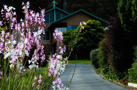 Maria Views Bed & Breakfast - Rental Cars 6