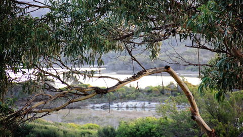 KINGFISHER COTTAGE Beachfront At The Binalong Bay - Rental Cars 17