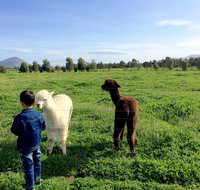 Taras Richmond Farmstay - Rental Cars