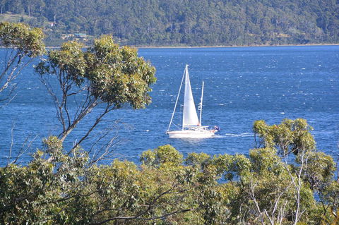 The Tree House - Rental Cars 5