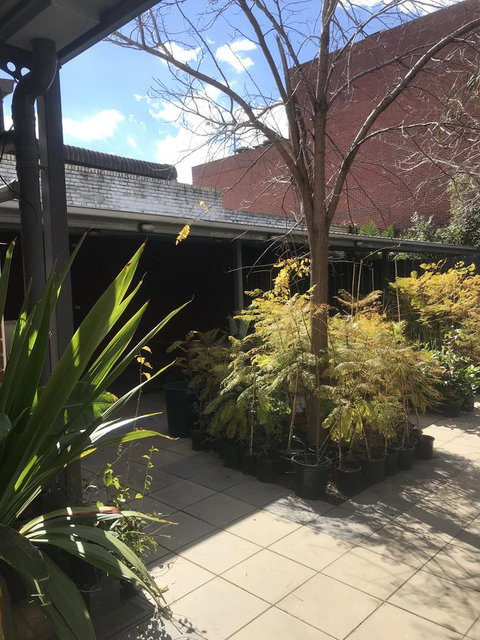CROWN CENTRAL BUSINESS DISTRICT MOTEL - NO UNDER 18s - Rental Cars 21