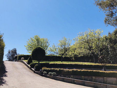 The Point BnB - Rental Cars 2