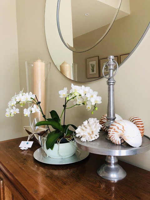 The Point BnB - Rental Cars 6