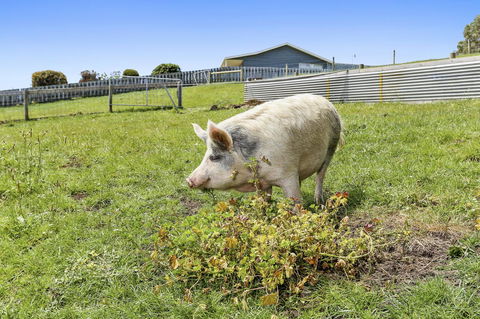 Anchors Port Campbell - Rental Cars 27