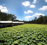The Boathouses at Leaves  Fishes - Rental Cars