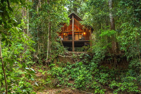 The Canopy Rainforest Treehouses & Wildlife Sanctuary - Rental Cars 0