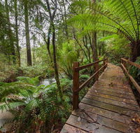 The Source Otways - Rental Cars