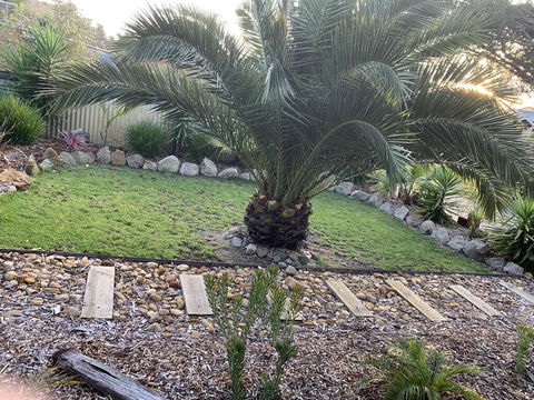 Torquoise Waters - Bed & Breakfast - Rental Cars 1