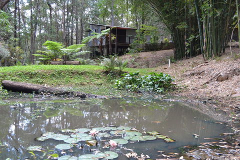Turmeric Gardens - Rental Cars 3
