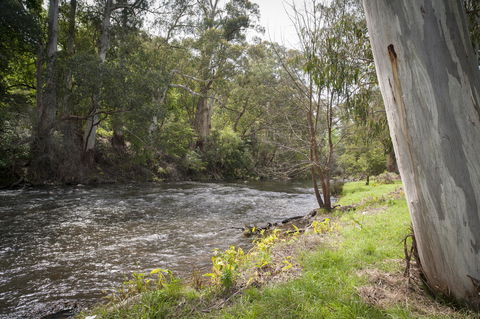 Oscar\'s On The Yarra - Rental Cars 23