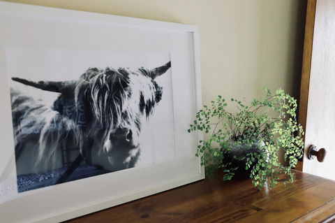 Red Ceder Cottage - Great Ocean Road - Port Campbell - Rental Cars 5