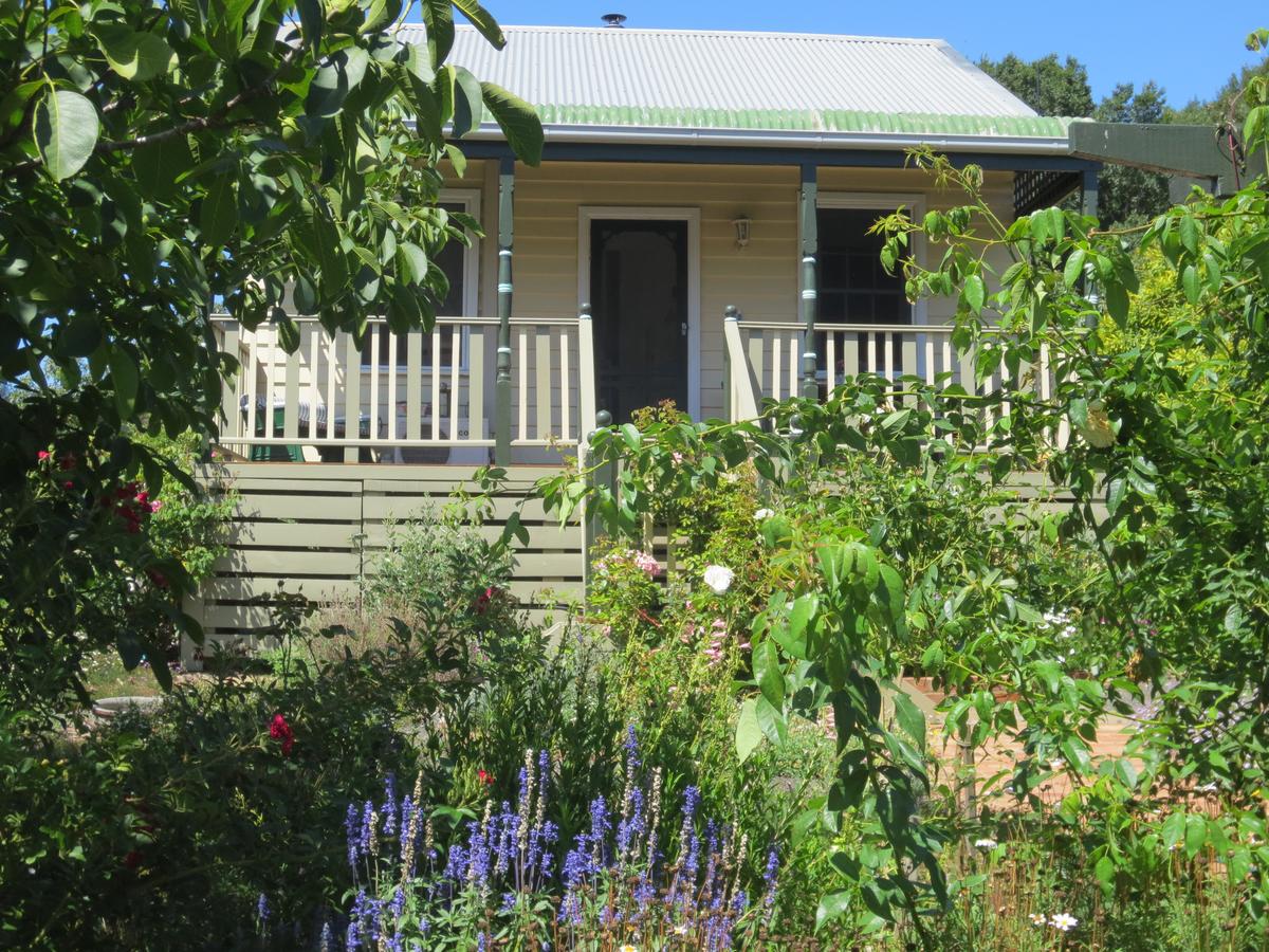 Wild Dog Valley VIC Rental Cars