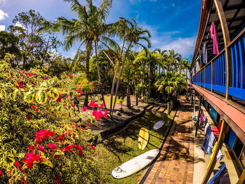 Cool Bananas Backpackers - Rental Cars 17