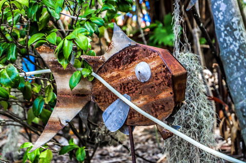 Cool Bananas Backpackers - Rental Cars 24