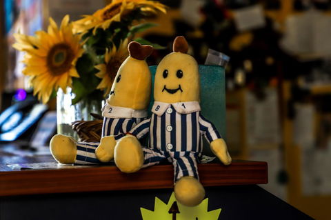 Cool Bananas Backpackers - Rental Cars 30