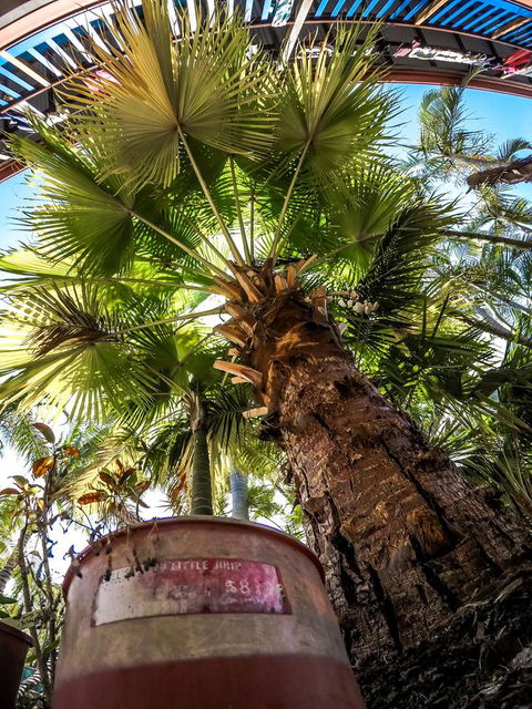 Cool Bananas Backpackers - Rental Cars 14