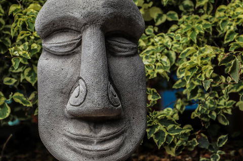 Cool Bananas Backpackers - Rental Cars 23