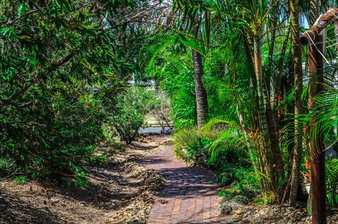 Cool Bananas Backpackers - Rental Cars 15